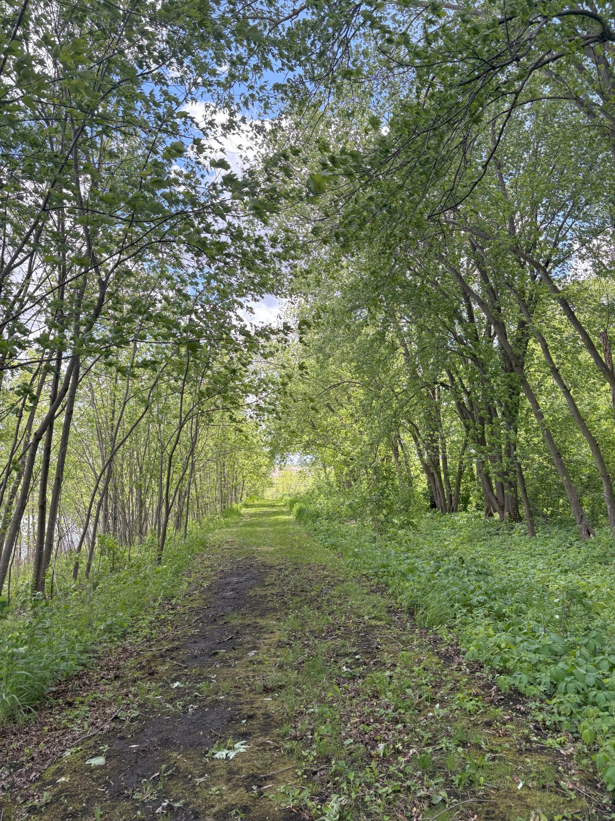 horton road pond trail